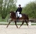 English riding 1