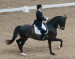 English riding 2